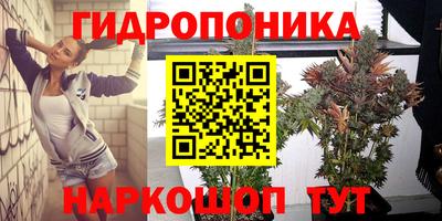 мдпв Дубна