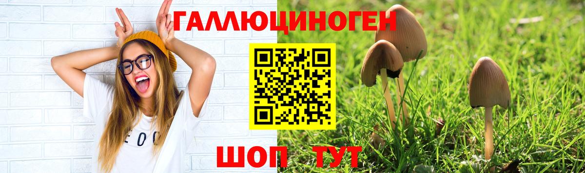 Псилоцибиновые грибы прущие грибы  Вход с VPN  Нововоронеж 